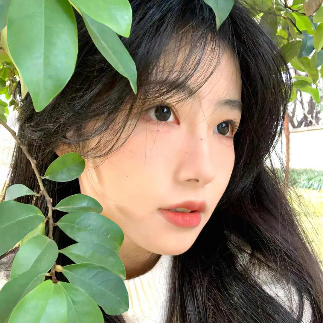 所以......和黑粉结婚了封面